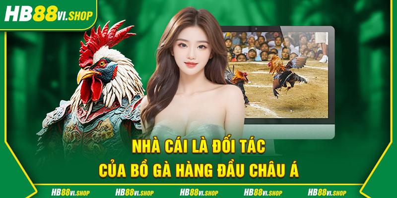 HB88 là đối tác của bồ gà hàng đầu châu Á